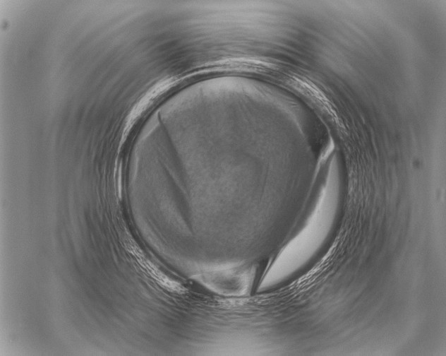 X0000057571180200510171635