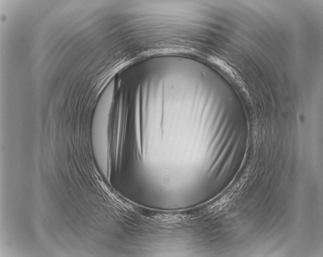 X0000057571185200510171635