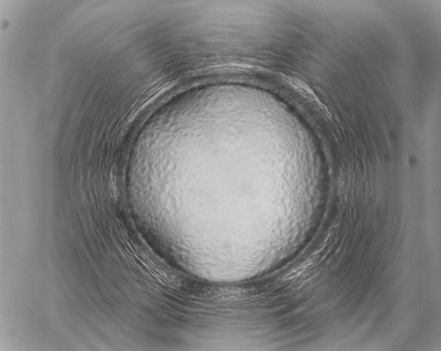 X0000057571209200510171634