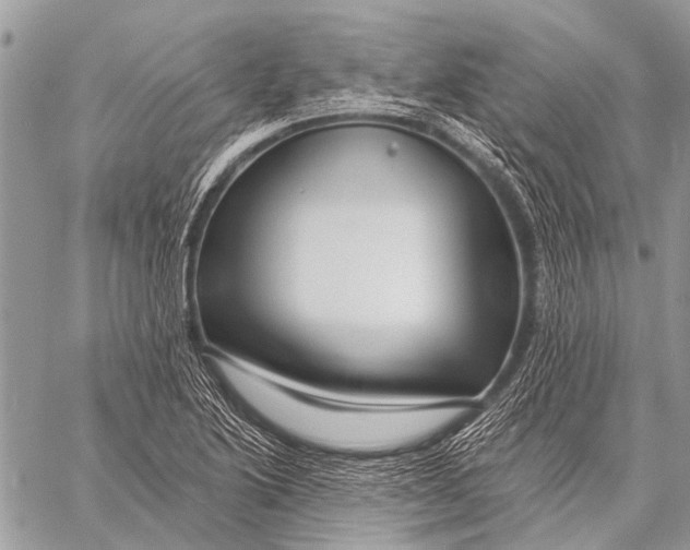 X0000057571222200510171634