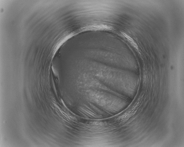 X0000057571226200510171634