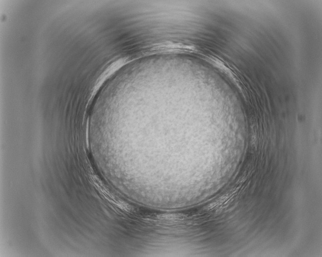X0000057571227200510171634