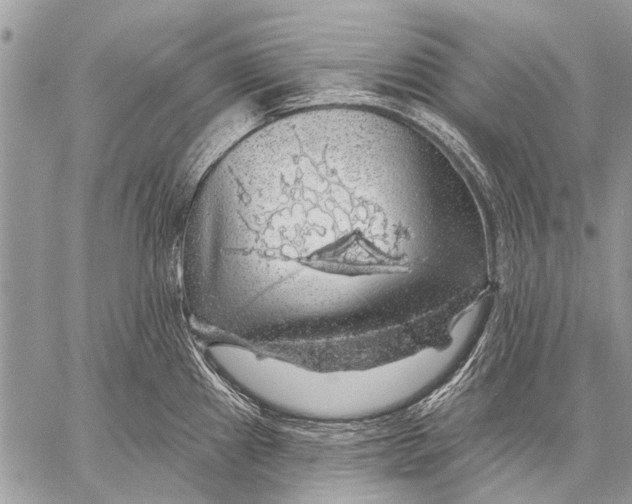 X0000057571241200510171634
