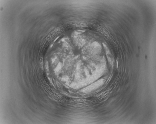 X0000057571251200510171634