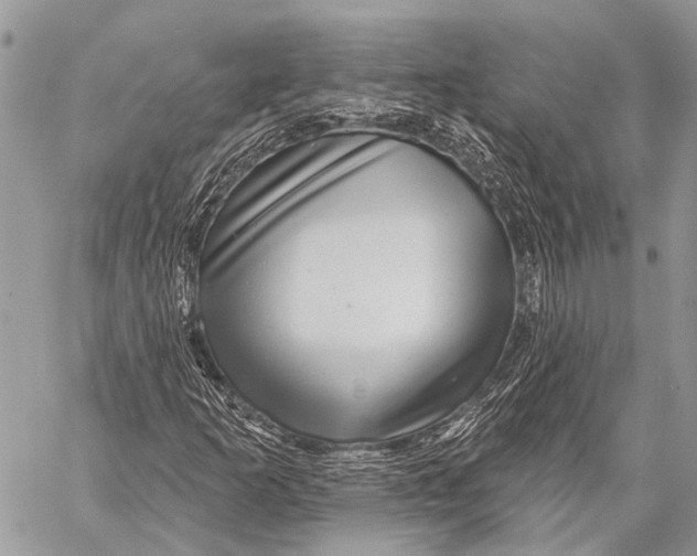 X0000057571253200510171634