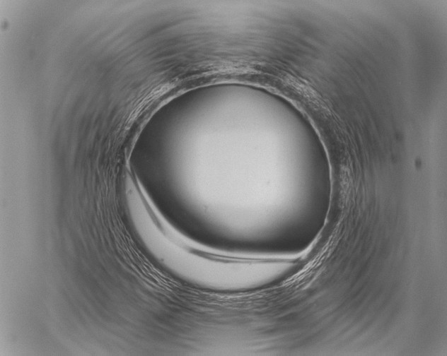 X0000057571257200510171634