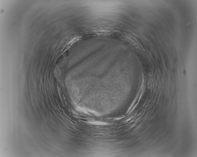 X0000057571298200510171632