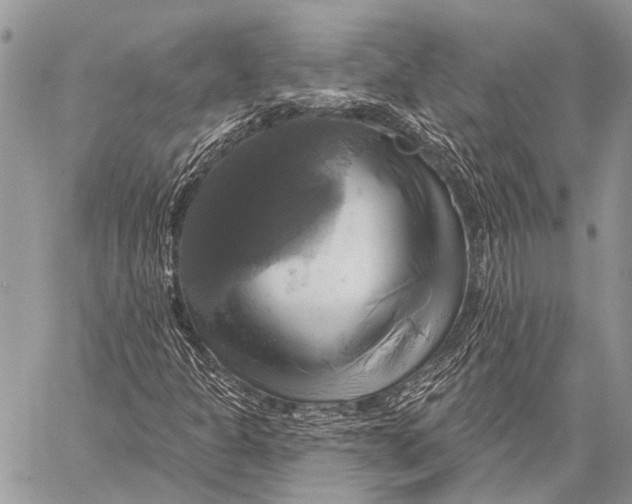 X0000057571301200510171632