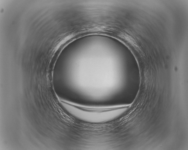 X0000057571308200510171632