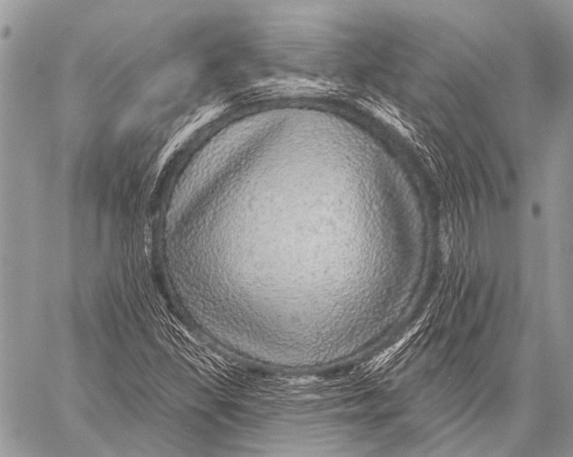 X0000057571309200510171632