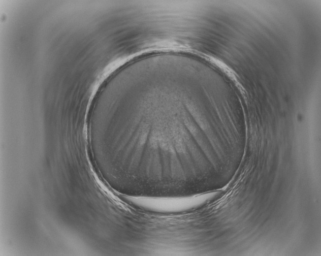 X0000057571335200510171633
