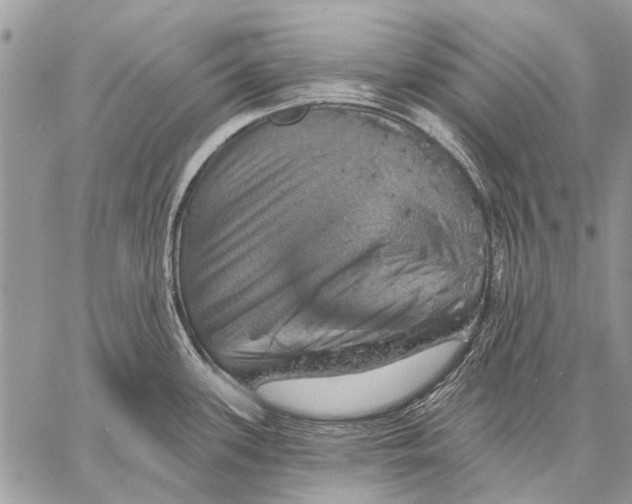 X0000057571339200510171633