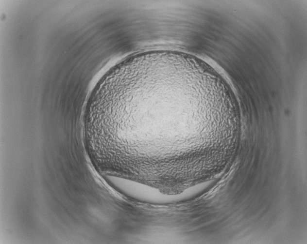 X0000057571341200510171633