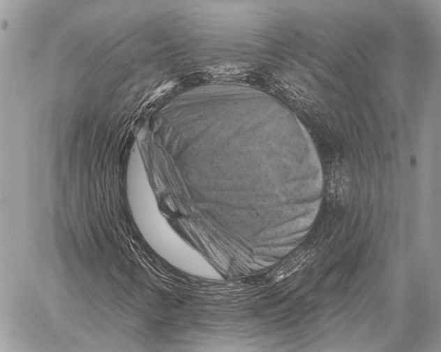 X0000057571346200510171632