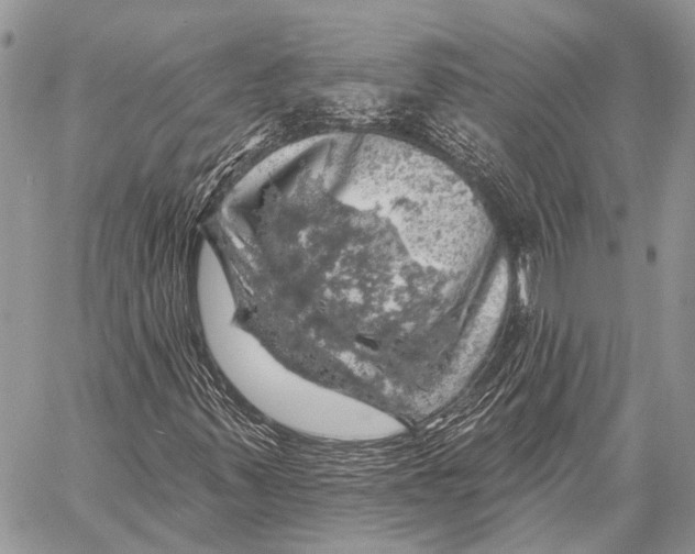 X0000057571347200510171632