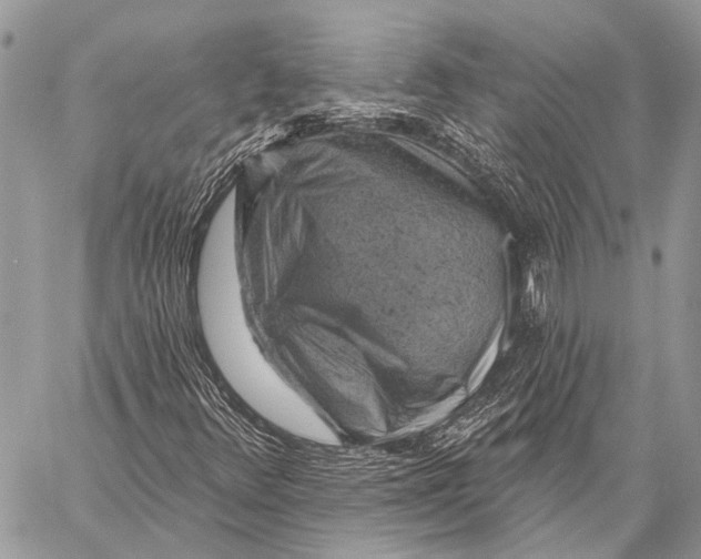 X0000057571348200510171632