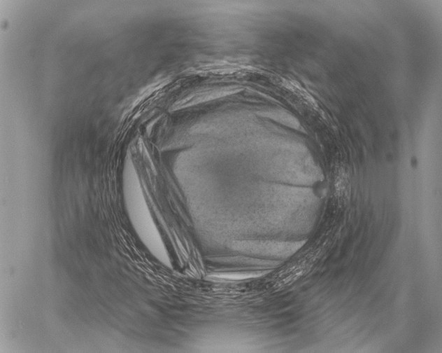 X0000057571350200510171632