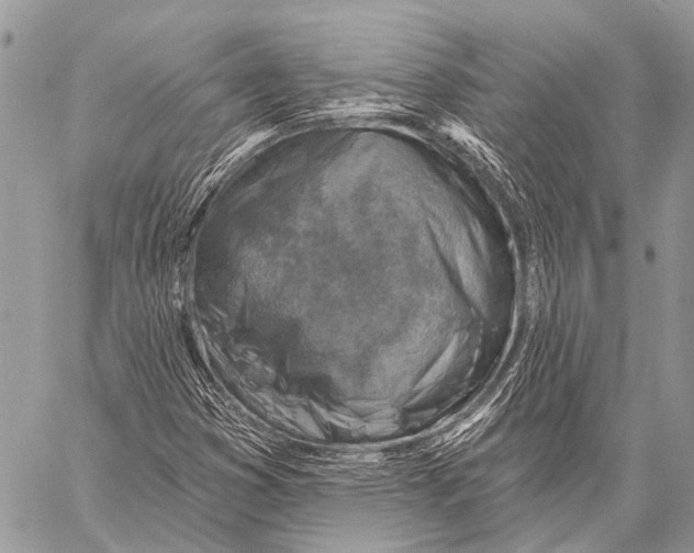 X0000057571353200510171632