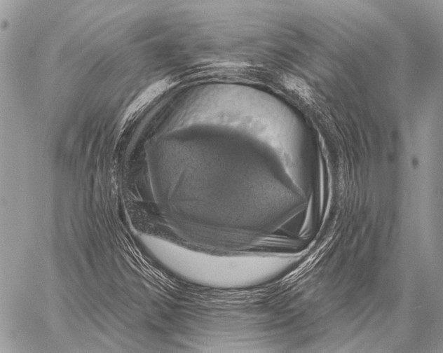 X0000057571354200510171632