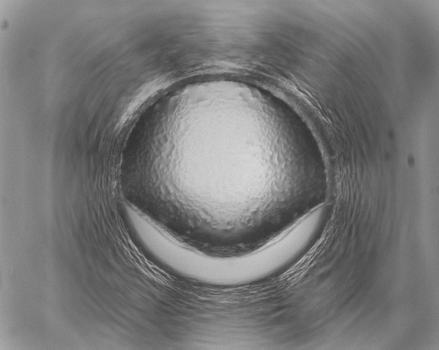 X0000057571355200510171632