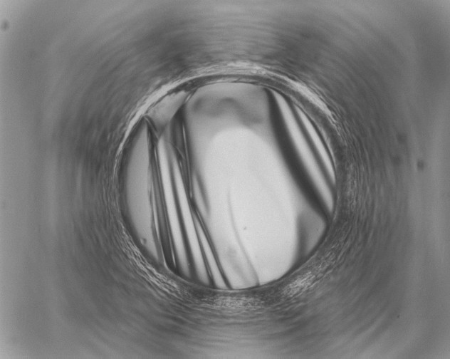 X0000057571364200510171632