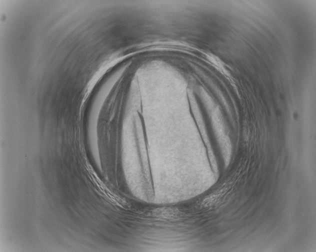 X0000057571368200510171632