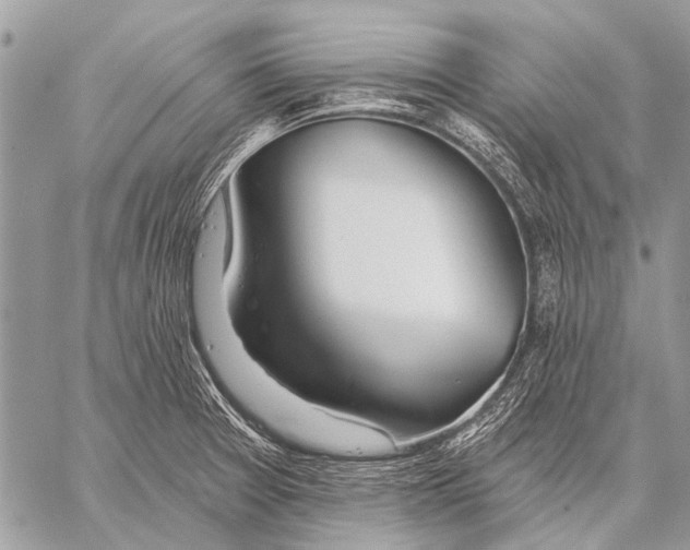 X0000057571377200510171632