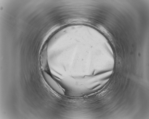 X0000057571384200510171632
