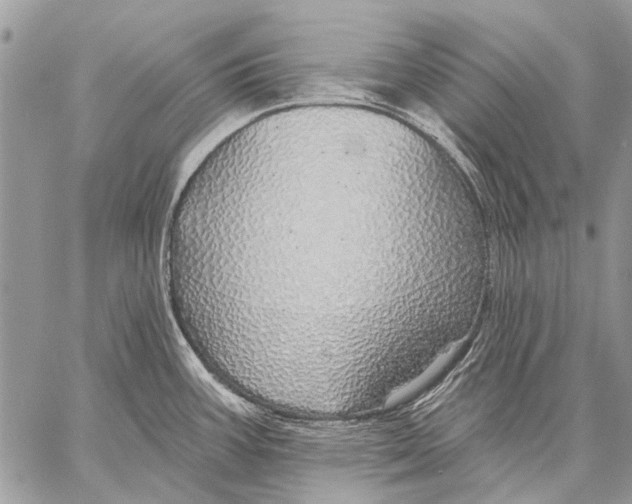 X0000057571387200510171632
