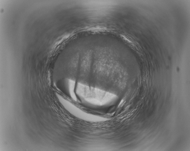 X0000057571398200510171631