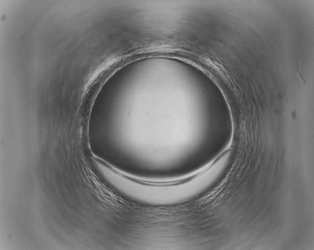X0000057571406200510171631