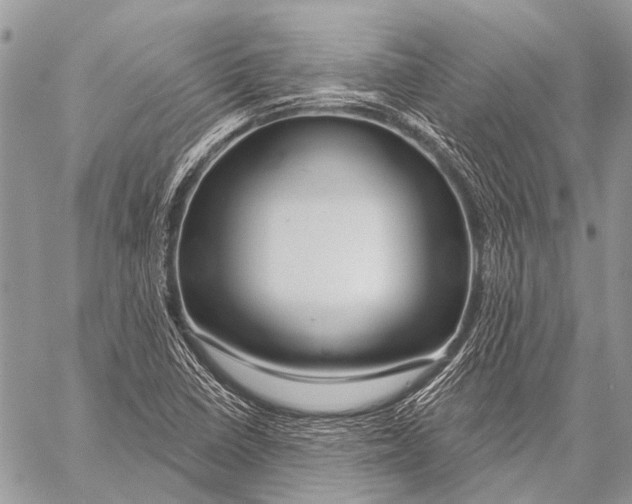 X0000057571410200510171631