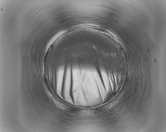 X0000057571418200510171631