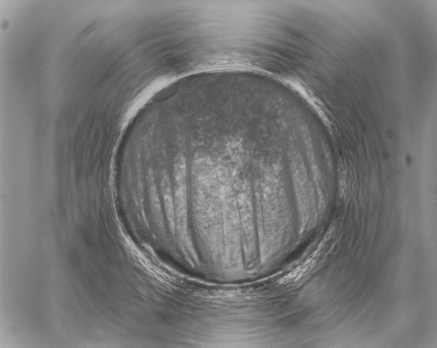 X0000057571422200510171631