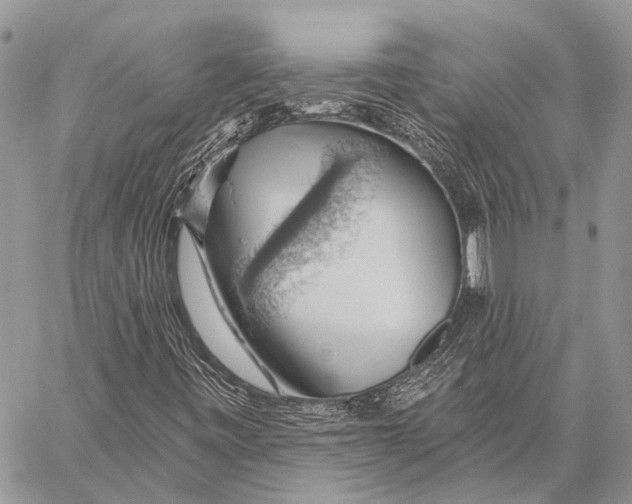 X0000057571443200510171631