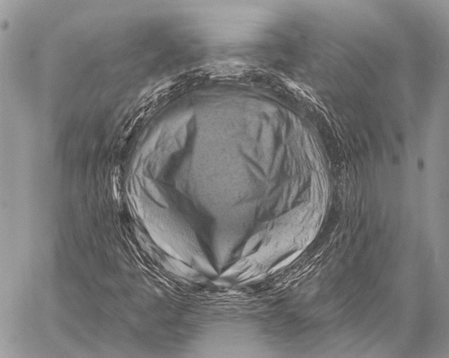 X0000057571445200510171631
