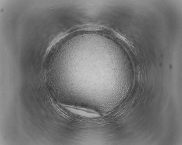 X0000057571448200510171631