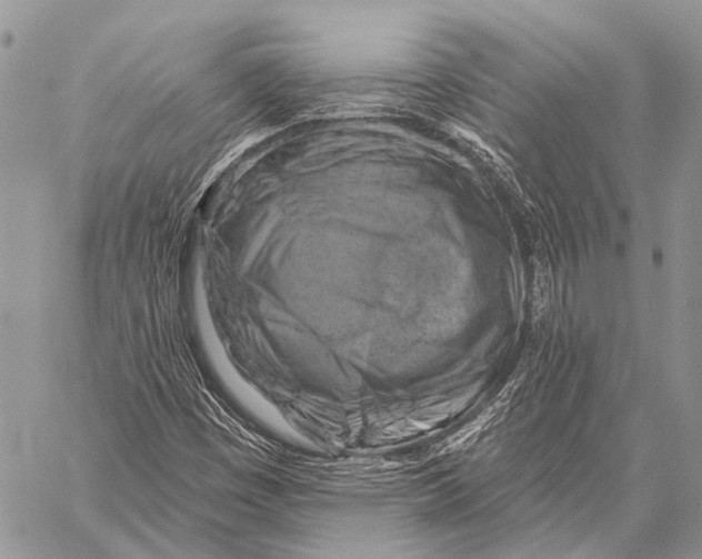 X0000057571449200510171630