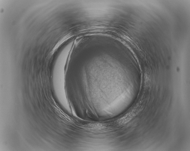 X0000057571450200510171630
