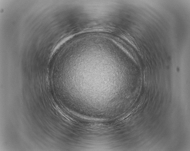 X0000057571452200510171630
