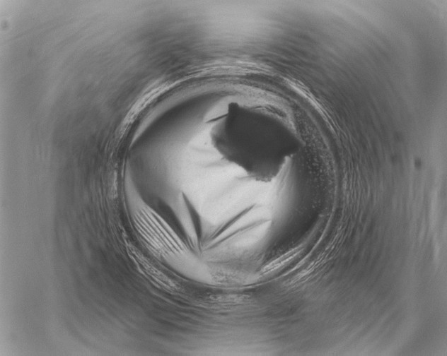 X0000057571459200510171630