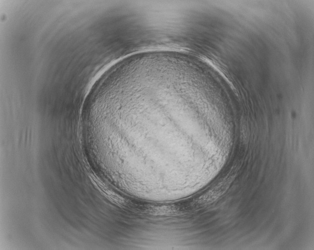 X0000057571460200510171630