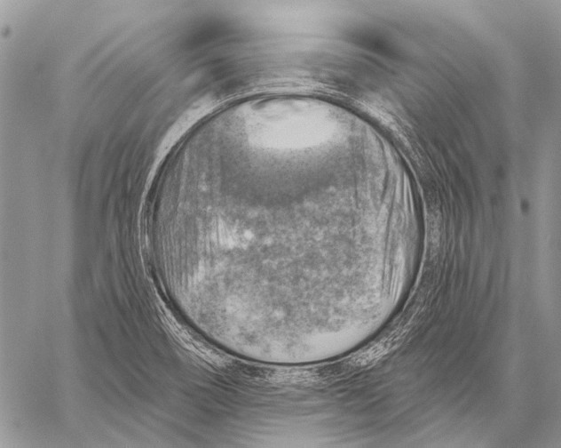 X0000057571466200510171630