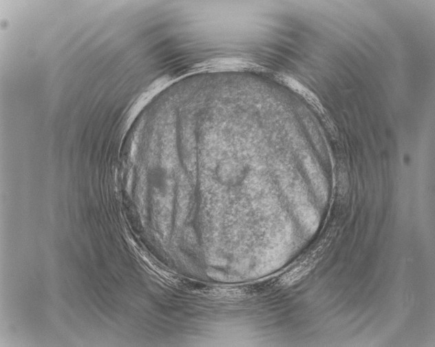 X0000057571473200510171630