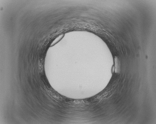 X0000057571491200510171629