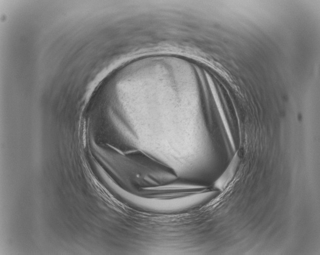 X0000057571510200510171629