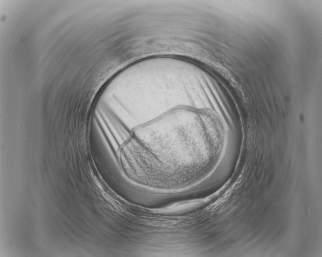 X0000057571513200510171629