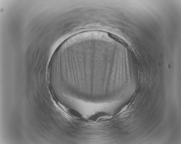 X0000057571527200510171630