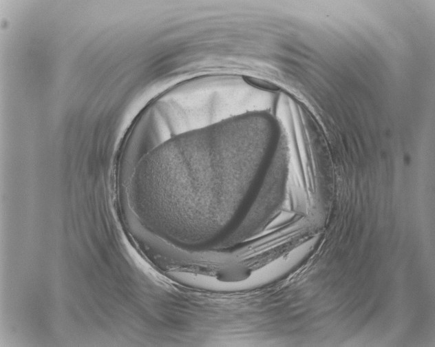 X0000057571531200510171630