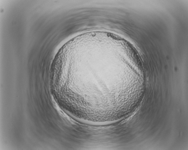 X0000057571534200510171630